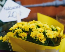 <p>Wszystkich Świętych 2024, Hala Targowa, ceny zniczy i stroik&oacute;w</p>