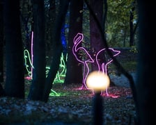 Lumina Park w Zamku Topacz pod Wrocławiem