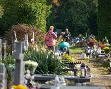 Przygotowania do Wszystkich Świętych na cmentarzu Osobowickim - 27.10.2024