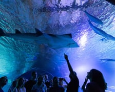 1. Nocowanie w Afrukarium, wrzesień 2024