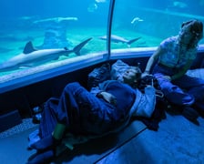 1. Nocowanie w Afrukarium, wrzesień 2024