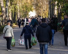 Cmentarz Osobowicki, 1 listopada 2024