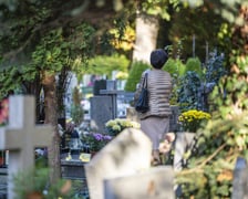 Tłumy na wrocławskich nekropoliach. Zobaczcie zdjęcia, 1 listopada 2024