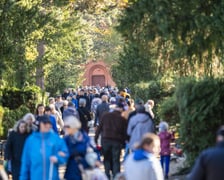 Tłumy na wrocławskich nekropoliach. Zobaczcie zdjęcia, 1 listopada 2024