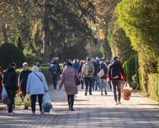 Tłumy na wrocławskich nekropoliach. Zobaczcie zdjęcia, 1 listopada 2024