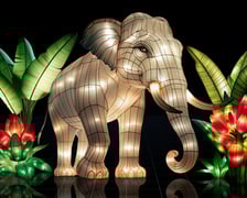 <p>Iluminacja ze słoniem. Ogrody Światła: Garden of Lights Dzika Azja w zoo Wrocław&nbsp;</p>