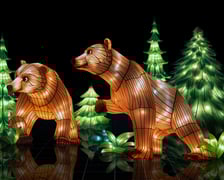 <p>Ogrody Światła: Garden of Lights Dzika Azja w zoo Wrocław&nbsp;</p>