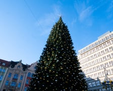 Choinka na Rynku we Wrocławiu