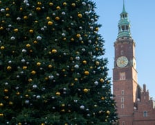 Choinka na Rynku we Wrocławiu