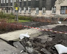 Rekultywacja skwerów, placyków i terenów zielonych w centrum Wrocławia.