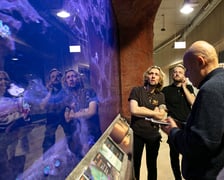 <p>Przed snem po Afrykarium orpowadzą nas edukatorzy. Po nocy zwiedzimy także ogr&oacute;d.</p>