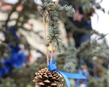 <p>Wigilia Leśnicka na Złotnikach (przy Centrum Aktywności Lokalnej przy Wielkopolskiej 7)</p>