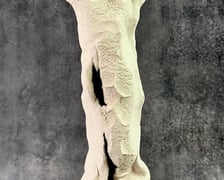 Odery 2024, statuetka