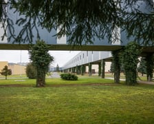 <p>W rzeczywistości pergola podpiera długi na 200 metr&oacute;w korytarz.</p>