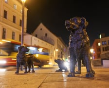 Choinka na Psim Polu