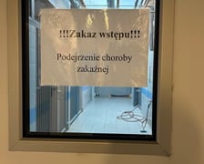 <p>W schronisku powstał mały oddział zakażny, na czas leczenia psiak&oacute;w.</p>