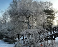 <p>Ogr&oacute;d botaniczny otwarty jest dla zwiedzających w weekendy od 9:30 do 17:00.</p>