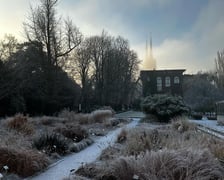 <p>Ogr&oacute;d botaniczny w zimowej odsłonie.</p>