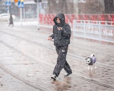 <p>Śnieg we Wrocławiu, 11.01.2025</p>