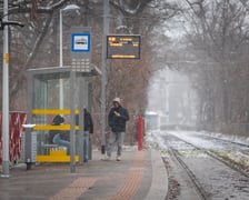 <p>Śnieg we Wrocławiu, 11.01.2025</p>