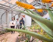 Ogród botaniczny zimą jest piękny. Na zewnątrz śnieg, a w szklarniach przenosimy się do innej strefy klimatycznej