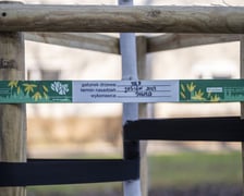 <p>Etykieta przyczepiona do słupk&oacute;w zabezpieczających młode drzewo.</p>