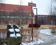 <p>Te kamienie nie są sztuką wsp&oacute;łczesną, a fragmentami dom&oacute;w mieszkalnych. Możemy znaleźc je na skwerze Wrocławianek</p>
