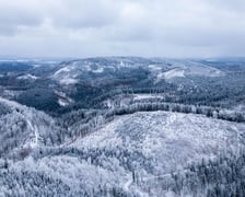 Widok z wieży widokowej na Dolnym Śląsku