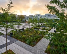 <p>Zazieleniony plac Nowy Targ</p>