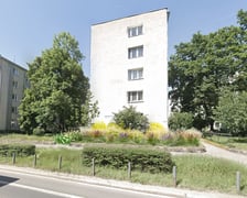 Wizualizacja zieleńca - nowe nasadzenia