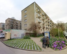 Wizualizacja zieleńca - nowe nasadzenia, m.in. róże