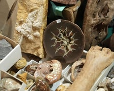 <p>Targi Minerał&oacute;w, Biżuterii i Wyrob&oacute;w Jubilerskich w NOT w weekend 15-16 marca</p>