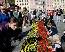 Inauguracja konkursu Ukwiecamy Wrocław w kolorach Wrocławia 2025 na rynku
