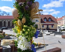<p>Palmy na Rynku Psiego Pola to już tradycja</p>