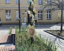 <p>Palmy na Rynku Psiego Pola to już tradycja</p>