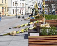<p>Palmy na Rynku Psiego Pola to już tradycja</p>