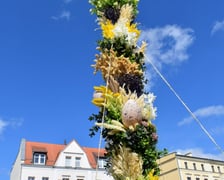 <p>Palmy na Rynku Psiego Pola to już tradycja</p>