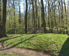 <p>Gr&oacute;dek typu motte Złotniki Małe w parku Złotnickim</p>