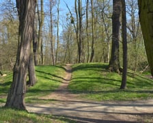 <p>Gr&oacute;dek typu motte Złotniki Małe w parku Złotnickim</p>