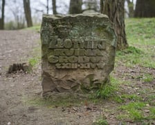 <p>Gr&oacute;dek typu motte Złotniki Małe w parku Złotnickim</p>