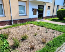 Dodatkowe nasadzenia zieleni, stacje do naprawy rowerów gotowe do użytku na osiedlach TBS Wrocław