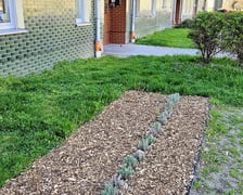 Dodatkowe nasadzenia zieleni, stacje do naprawy rowerów gotowe do użytku na osiedlach TBS Wrocław