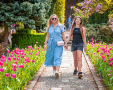 W Ogrodzie Botanicznym UWr 21 kwietnia 2025 roku