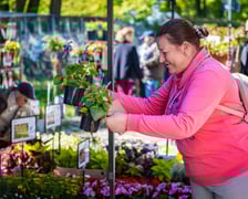 Kiermasz ogrodniczy na Partynicach - 26.04.2025