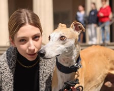 Wrocławski Charytatywny Spacer z Chartami we Wrocławiu z okazji Wiosennego Dnia Charta