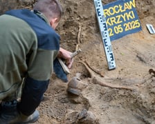 Prace archeologiczne specjalistów z Pracowni POMOST na cmenatrzu na Krzykach