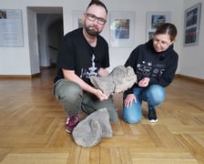 Tomasz Sielicki z Emilią Seredyńską w Muzeum Regionalnym w Sycowie prezentują delfina - prawdopodobnie fragment fontanny z pl. Nowy Targ