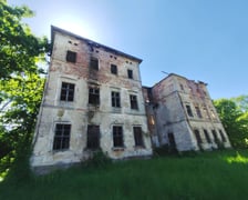 <p>Ruiny pałacu von Zedlitza w Czerńczycach, oddalonych ok. 25 km od Wrocławia</p>