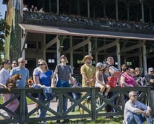 3. dzień wyścigowy na Partynicach - 25.05.2025
