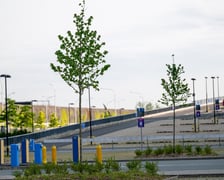 Wokół stadionu Tarczyński Arena pojawiły się zielone nasadzenia - w sumie 1800 nowych roślin